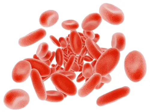 The Hidden Connection Between Anemia and H. pylori Infection