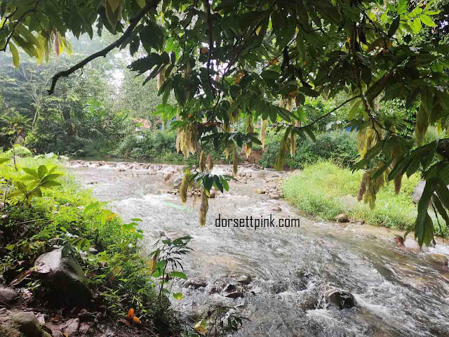 berkelah sungai congkak