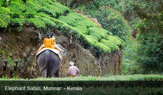  Kerala Honeymoon Packages