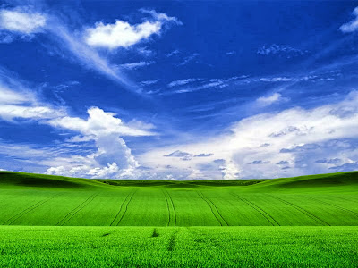 Windows XP Wallpapers