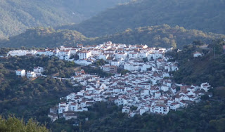 Photo1