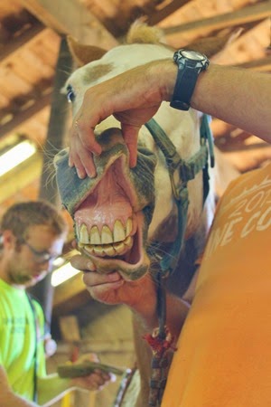 Pine Cove Fall 2013 052