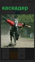каскадер выполняет трюк на лошади на полном скаку