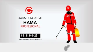 Garda Solusi Pest Control Bandung