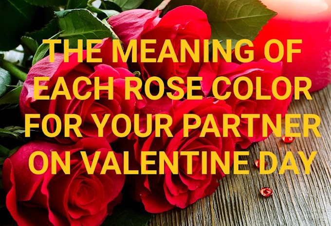 THE MEANING OF EACH ROSE COLOR FOR YOUR PARTNER ON VALENTINE DAY