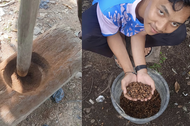 Kenali Tradisi Lokal, Mahasiswa KKL Desa Puguk Belajar Proses Pembuatan Kopi Kenali Tradisi Lokal, Mahasiswa KKL Desa Puguk Belajar Proses Pembuatan Kopi