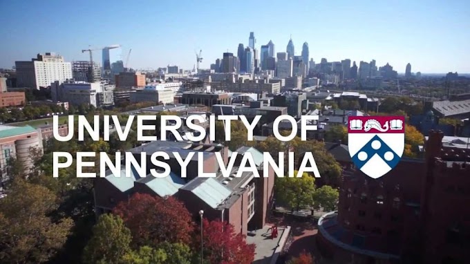 Fellowship at the University of Pennsylvania 