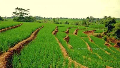 13 TEMPAT WISATA DI KOTA METRO LAMPUNG TERBARU YANG WAJIB DIKUNJUNGI BERSAMA