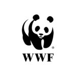 Project Executant (PE) Job Opportunities at WWF 2022