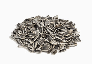 Do Sunflower seeds cause Stomach Pain