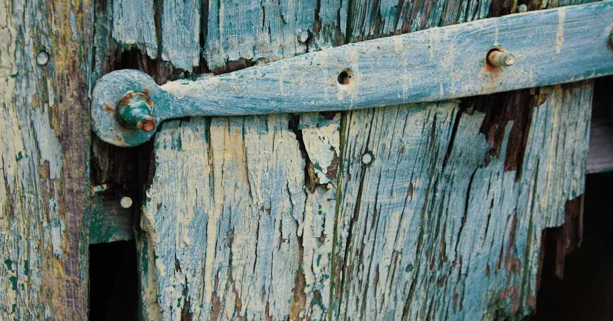 a maritime gardener: antique shed doors