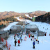 OUR VIDEO <br> BEARS TOWN SKI RESORTS