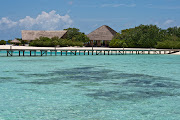 Most Beautiful Islands: MaldivesCocoa (world eautiful islands cocoa island maldives )