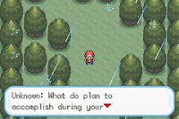 Pokemon Morganite Screenshot 00