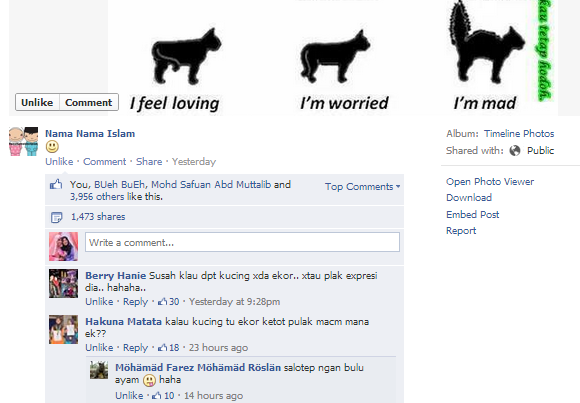 sebukumemori: kucing ekor kontot