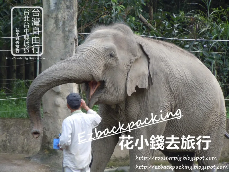 台北木柵動物園 動物位置