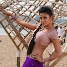 Amala Paul New Spicy  Photo Gallery