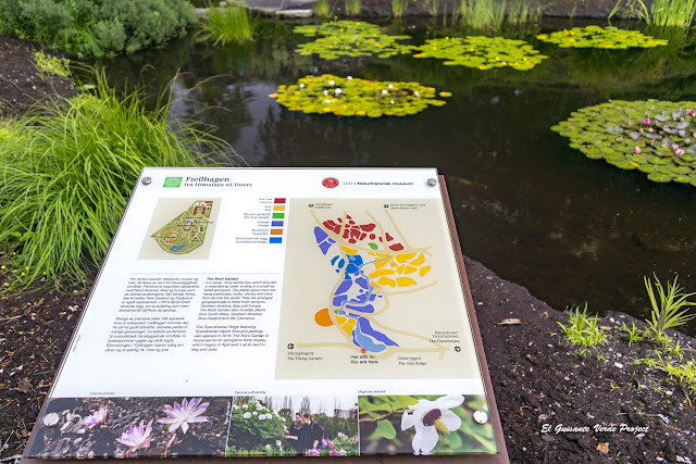 Jardin de Rocas - Jardín Botánico de Toyen, Oslo por El Guisante Verde Project