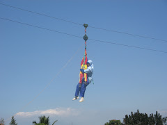 Flying Fox Tandem