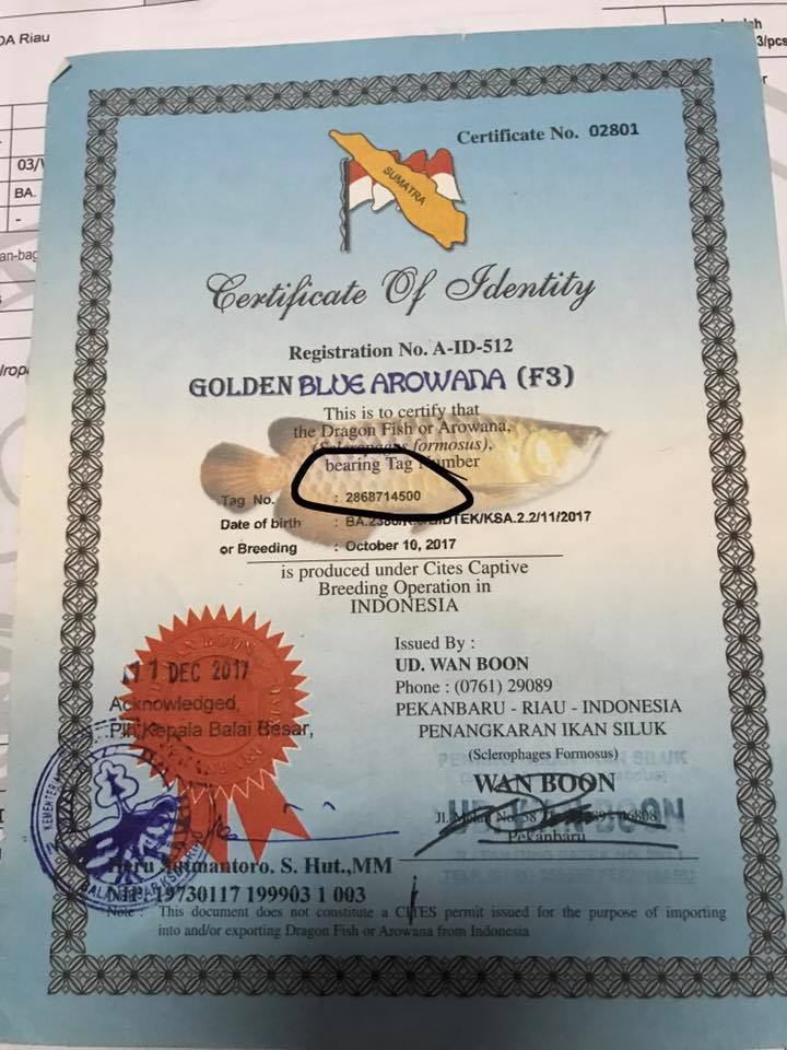 Gambar sertifikat arwana