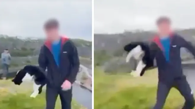 18-year-old male throws cat off the edge of a cliff to water hundreds of feet below in a quarry