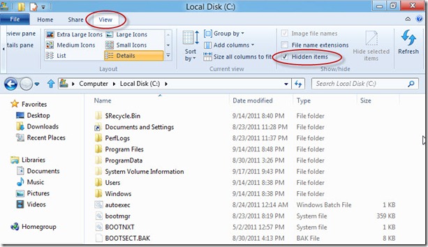 Win8_Show_Hiden_Files