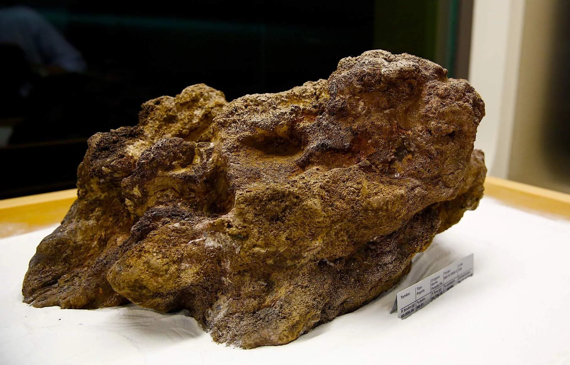 The Largest Gold Nugget in the world