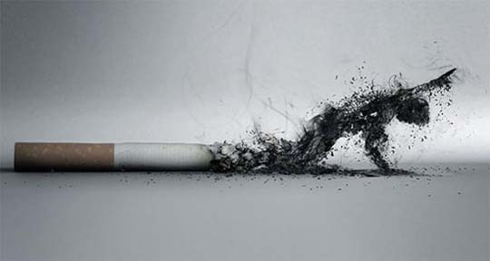creative anti smoking ad. creative Anti-Smoking Ad Campaigns Dedicated to World No Tobacco Day