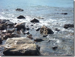 DSCN3431