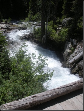 DSCN0584