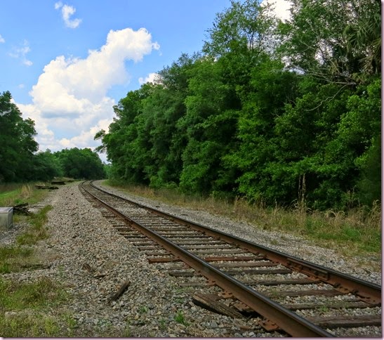 tracksIMG_3890