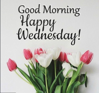 good morning happy Wednesday images Download