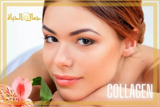 Collagen skin