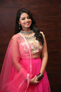 Geethanjali sizzles in Pink at Mixture Potlam Movie Audio Launch 037.JPG