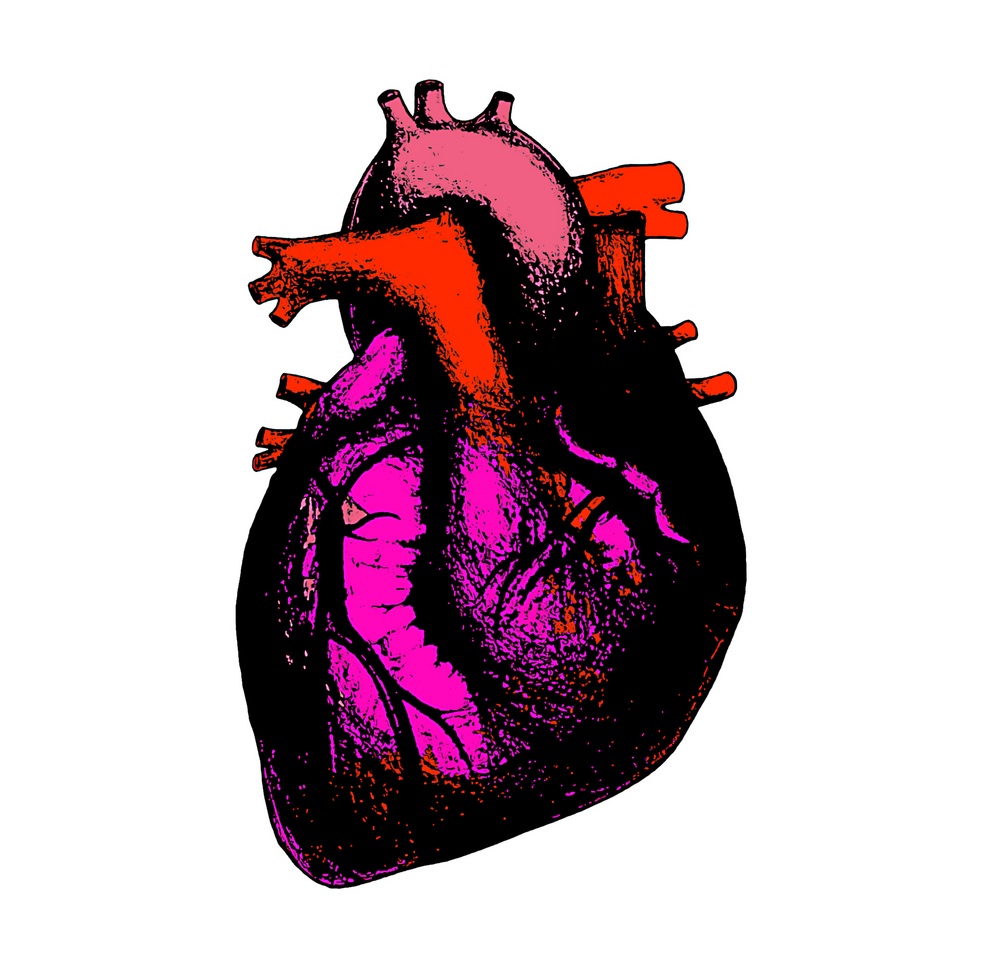 human heart sketch The Heart of the Matter; how I came across an intriguing homonym and 