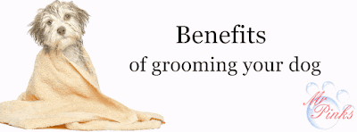 http://grooming.mrpinks.co.uk