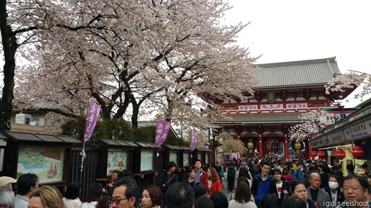 Asakusa