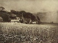 George Davison – The Onion Field (1890)