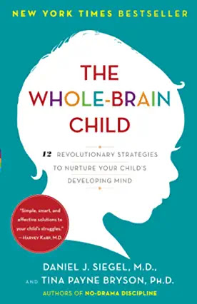 The Whole Brain Child by Daniel Siegel and Tina Bryson