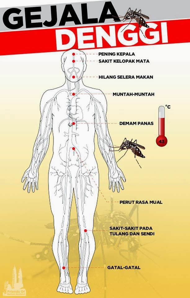 ADORABLE LIFE ZONE: Jom Kenali 2 Jenis Demam Denggi