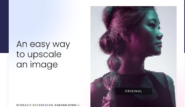 Cara Menggunakan Zyro Untuk Meningkatkan Resolusi Foto Dengan AI Image Scaler
