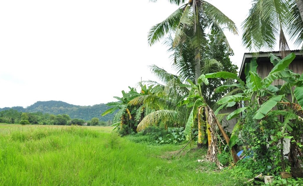 Saffuan Jaffar Blog Travel Puisi Rindu Kampung Saffuan Jaffar Blog Travel Puisi Rindu Kampung