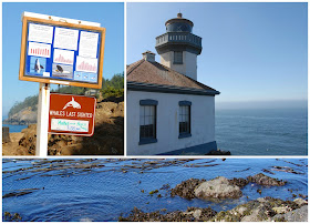 trip to lime kiln state park where many come to whale watch