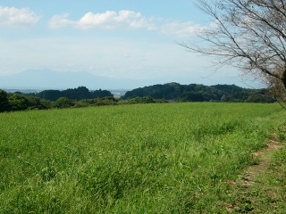P1060263