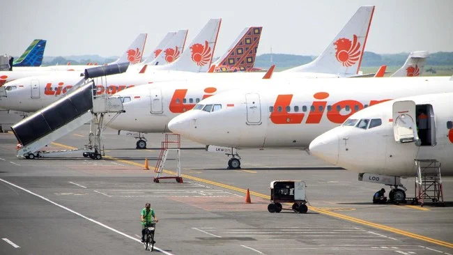 Mengeluhkan Layanan Lion Air, Doli Bilang Rakyat Menderita