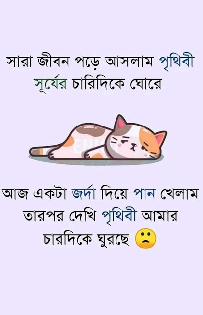 Funny bengali quotes
