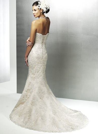 Lace Wedding Dresses 2010