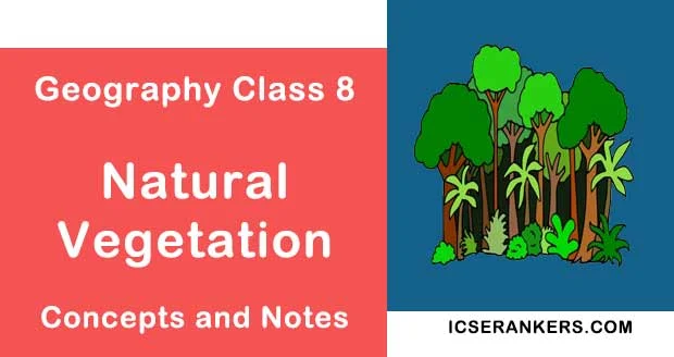 Natural Vegetation and Wildlife- Geography Guide for Class 8
