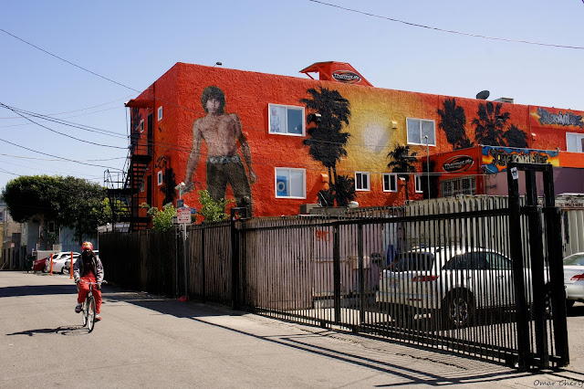 "Mr Mojo Ridin" by Omar Cherif - Venice Beach, California 2014