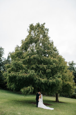 bride and groom under large tree